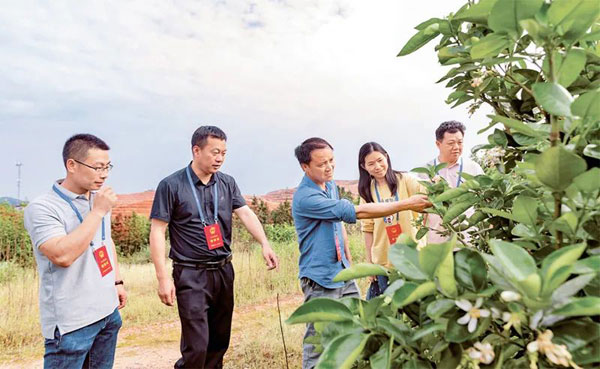 發(fā)展全過(guò)程人民民主　保障人民當(dāng)家作主
