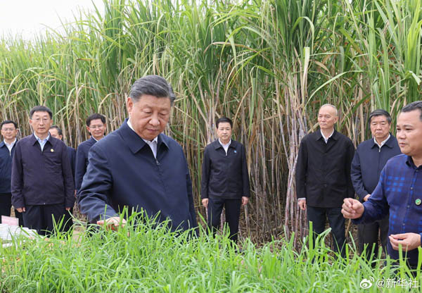  習(xí)近平在廣西來賓市考察調(diào)研