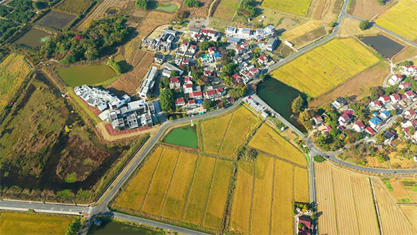 江蘇人大出臺指導意見強化鄉(xiāng)鎮(zhèn)國有和集體資產(chǎn)管理監(jiān)督